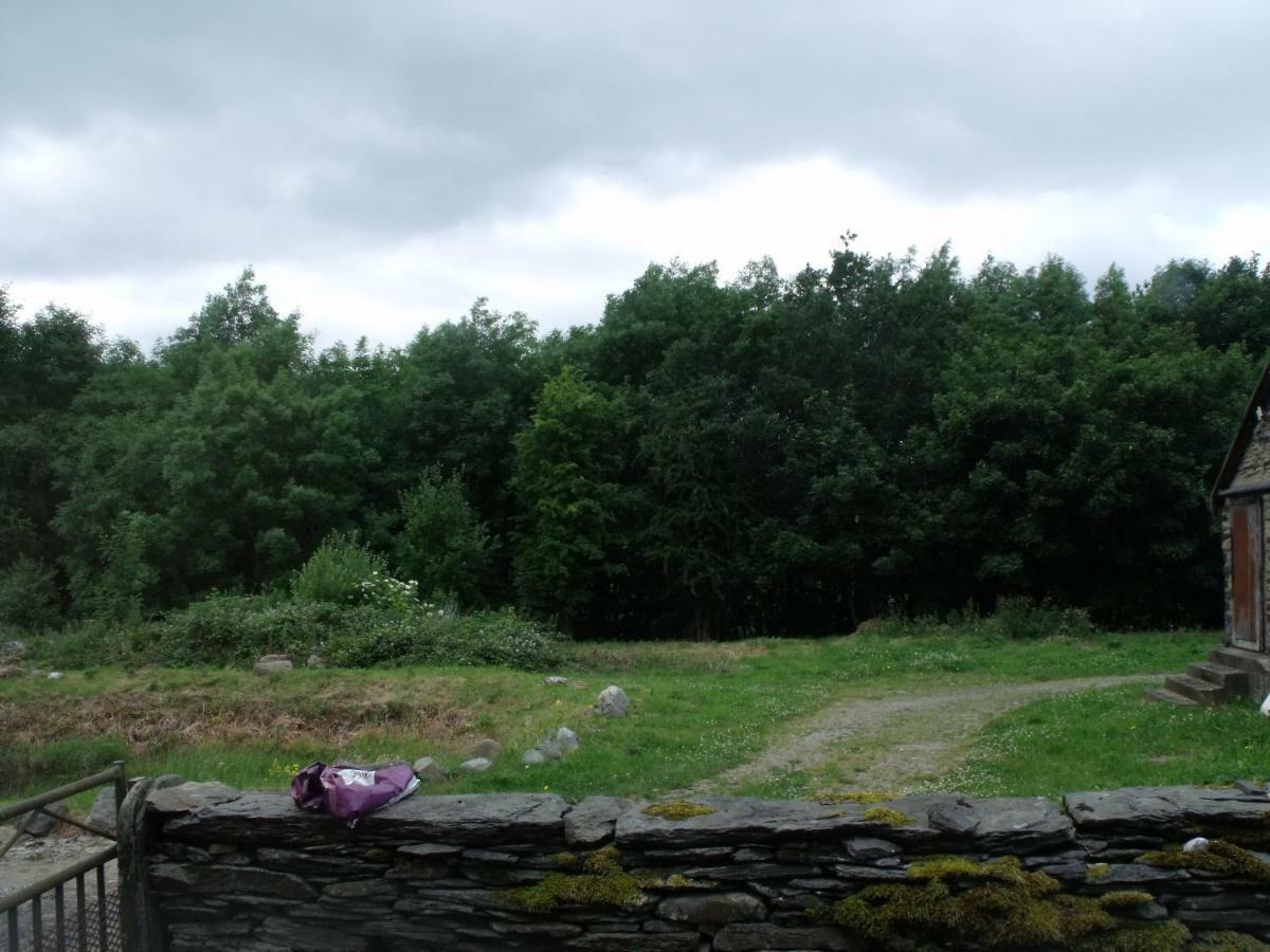Cosy Ground Floor Disabled Friendly Room In Farm House Llandderfel 外观 照片